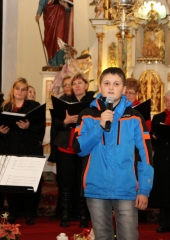 Koncert ŽePZ Mravljice Bizeljsko 2017 (41)