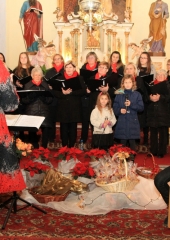 Koncert ŽePZ Mravljice 2018 (45)