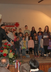 Krajevni praznik 2016 (5)