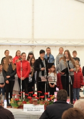 Krajevni-praznik-KS-Bizeljsko-2019-2