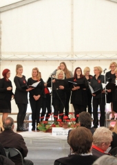 Krajevni-praznik-KS-Bizeljsko-2019-46