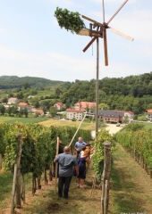 Lovrenčevo Bizeljsko 2018 (26)