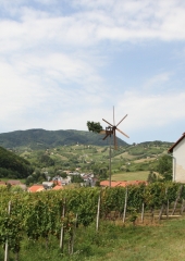 Lovrenčevo Bizeljsko 2018 (36)
