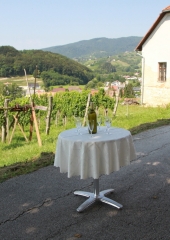 Lovrenčevo-Bizeljsko-2020-11