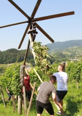 Lovrenčevo-Bizeljsko-2020-17