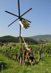 Lovrenčevo-Bizeljsko-2020-18