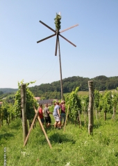 Lovrenčevo-Bizeljsko-2020-19