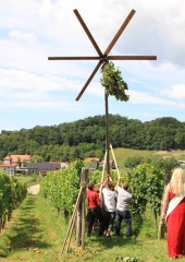 Lovrenčevo-in-postavljanje-klopotca-Bizeljsko-2019-19