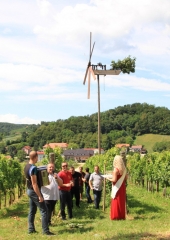 Lovrenčevo-in-postavljanje-klopotca-Bizeljsko-2019-23