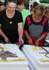 Lovrenčevo na Bizeljskem 2017 (221)