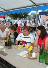 Lovrenčevo na Bizeljskem 2017 (229)