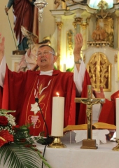 Lovrenčevo na Bizeljskem 2017 (31)