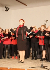 Martinov glasbeni večer Bizeljsko 2016 (14)