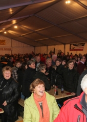 Martinovanje na Bizeljskem 2016 (16)