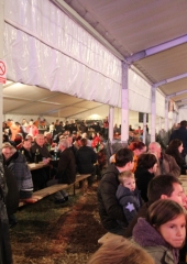 Martinovanje na Bizeljskem 2016 (24)