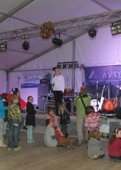 Martinovanje na Bizeljskem 2016 (39)
