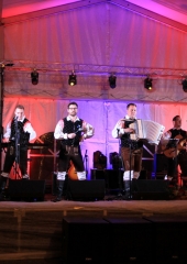 Martinovanje-Bizeljsko-2019-2