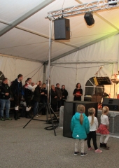 Martinovanje na Bizeljskem 2018 (65)