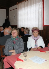 Občni zbor krajevne organizacije DIS Bizeljsko 2017 (11)