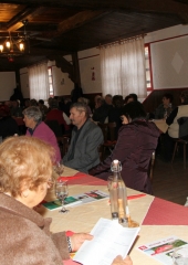 Občni zbor krajevne organizacije DIS Bizeljsko 2017 (4)