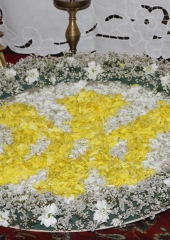 Obisk Fatimske Marije Romarice na Bizeljskem (29)