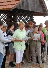 Obisk Fatimske Marije Romarice na Bizeljskem (95)
