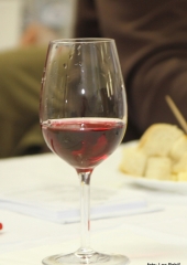 Ocenjevanje vin Bizeljsko 2017 (6)