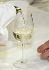Ocenjevanje vin na Bizeljskem 2018 (11)