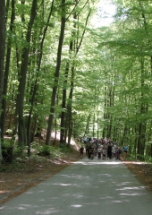 Pespot-k-repnicam-Bizeljsko-2026-40