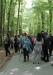 Pespot-k-repnicam-Bizeljsko-2026-43