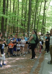 Pespot-k-repnicam-Bizeljsko-2026-44