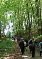 Pespot-k-repnicam-Bizeljsko-2026-45