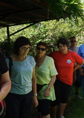 Vidova-pot-Bizeljsko-2019-2