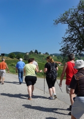 Vidova-pot-Bizeljsko-2019-5