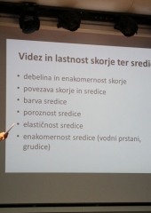 Podelitev priznanj za peko kruha Brežice 2017 (13)