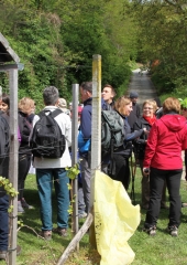Pohod k repnicam 2017 (56)