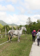 Pohod k repnicam 2017 (64)