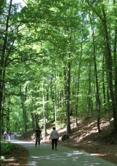 Pohod k repnicam 2018 (106)