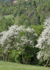 Pohod k repnicam 2018 (75)