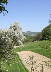 Pohod k repnicam 2018 (88)