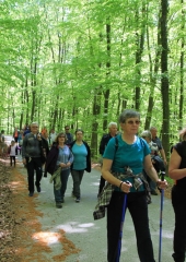 Pohod-k-repnicam-2019-142