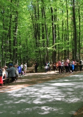 Pohod-k-repnicam-2019-145