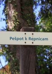 Pohod-k-repnicam-2019-27