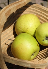 Pohod-k-repnicam-2019-98