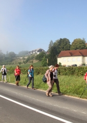 Pohod ob Sotli 2016 (15)