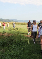 Pohod ob Sotli 2017 (25)
