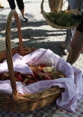 Pohod ob Sotli 2017 (46)
