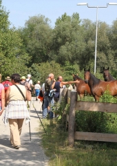 Pohod ob Sotli 2017 (57)