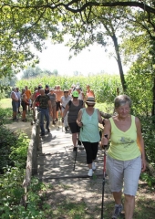 Pohod ob Sotli 2017 (61)