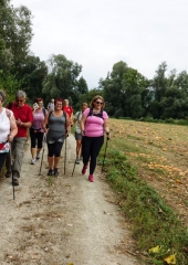 Pohod ob Sotli Bizeljsko 2018 (25)